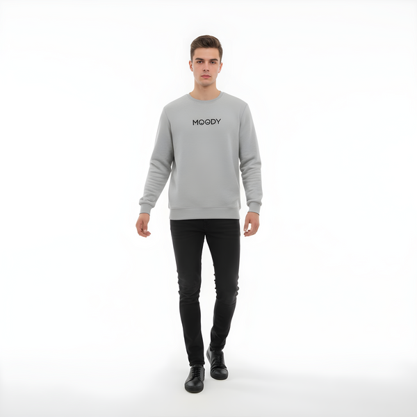 Daily_Wear_Sweatshirt_Gery