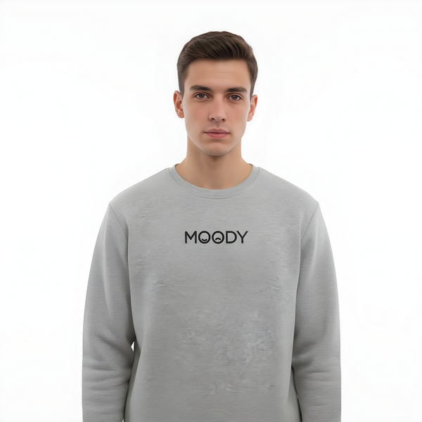 Daily_Wear_Sweatshirt_Gery