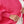 Stripped_Pattern_Cardigan_Fuchsia
