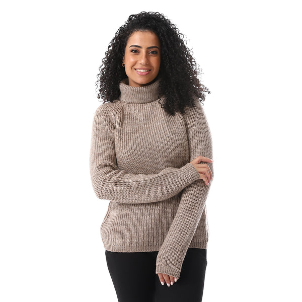 Turtle_Neck_Regular_Fit_Plain_Top_Cafe
