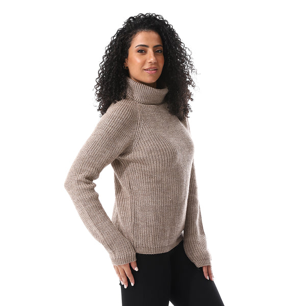Turtle_Neck_Regular_Fit_Plain_Top_Cafe