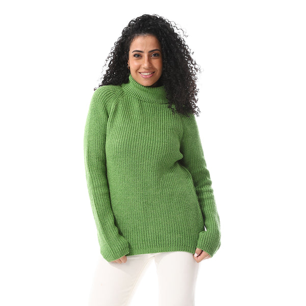 Turtle_Neck_Regular_Fit_Plain_Top_Green