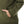 Comfortable_Fit_Girls_Hoodie_-_Olive