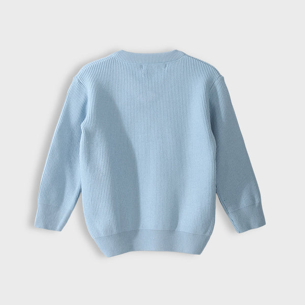 V-Neck_Knitted_Plain_Sky_Blue_Pullover_Sky_Blue