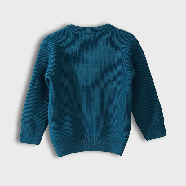 V-Neck_Knitted_Plain_Blue_Pullover_Blue