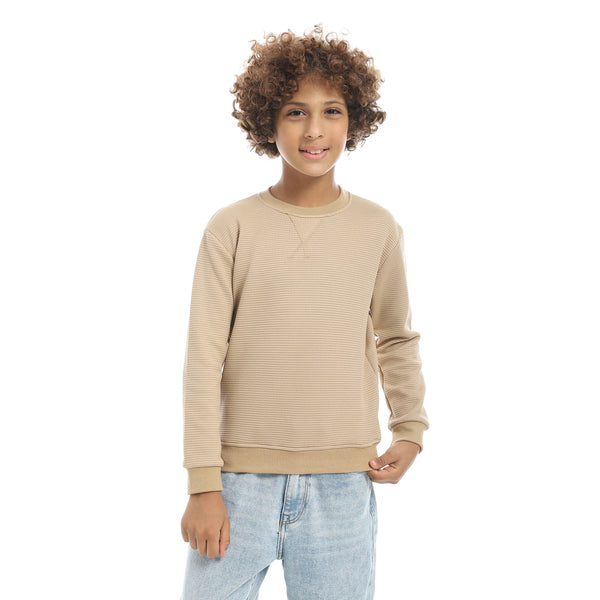 Beige_Round_Collar_Self_Patterned_Long_Sleeves_Pullover_Beige