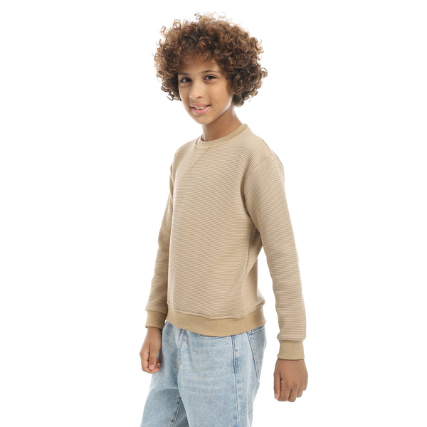 Beige_Round_Collar_Self_Patterned_Long_Sleeves_Pullover_Beige