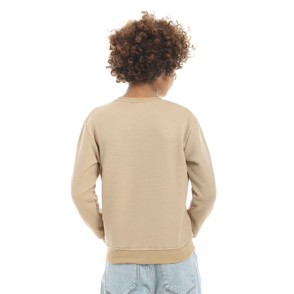 Beige_Round_Collar_Self_Patterned_Long_Sleeves_Pullover_Beige