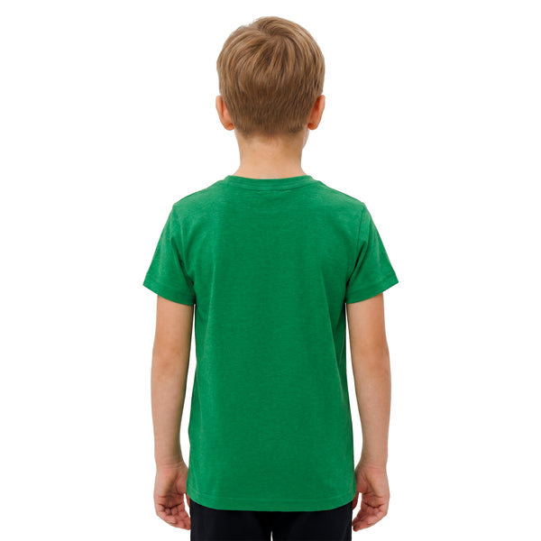 _Regular_Fit_Printed_Boys_T-Shirt_-_Green