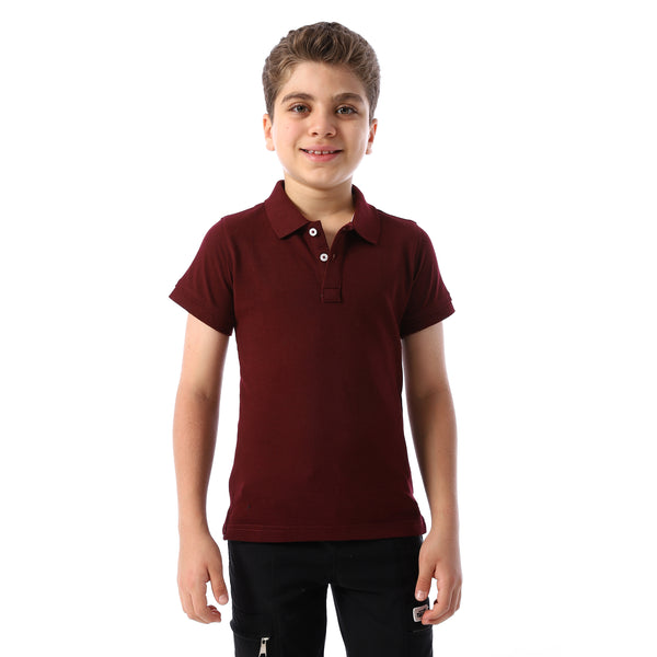 eggplant Short Sleeves Pique Boys Polo Shirt - eggplant