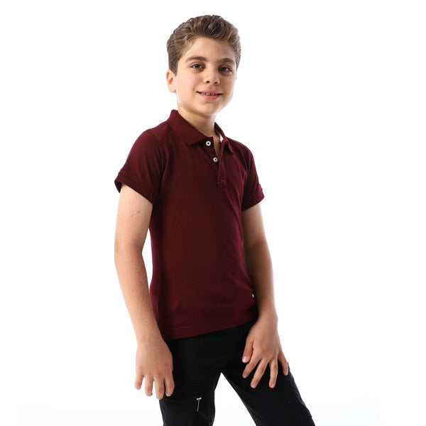 eggplant Short Sleeves Pique Boys Polo Shirt - eggplant