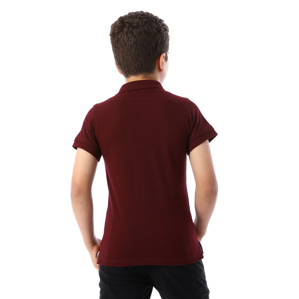 eggplant Short Sleeves Pique Boys Polo Shirt - eggplant