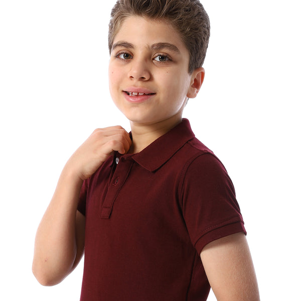 eggplant Short Sleeves Pique Boys Polo Shirt - eggplant