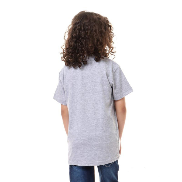 boys- printed- - champions- - t-shirt- - light- grey