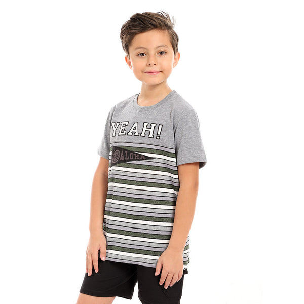 round neck boys cotton t-shirt - olive