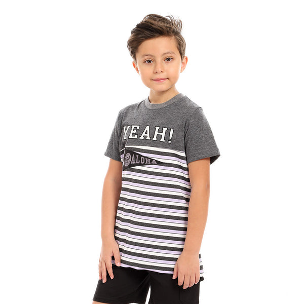 round neck boys cotton t-shirt - grey