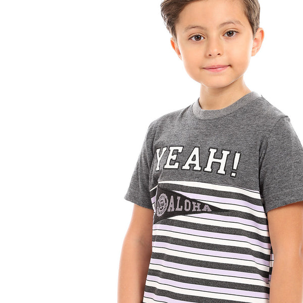 round neck boys cotton t-shirt - grey