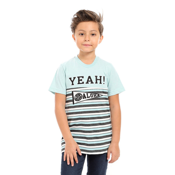 round neck boys cotton t-shirt - mint