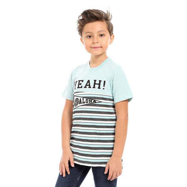 round neck boys cotton t-shirt - mint