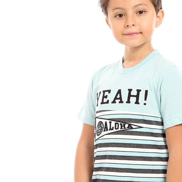 round neck boys cotton t-shirt - mint