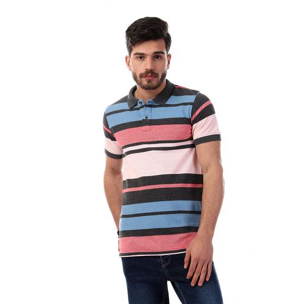 Striped Short Sleeves Buttoned Polo Shirt - Multicolour20