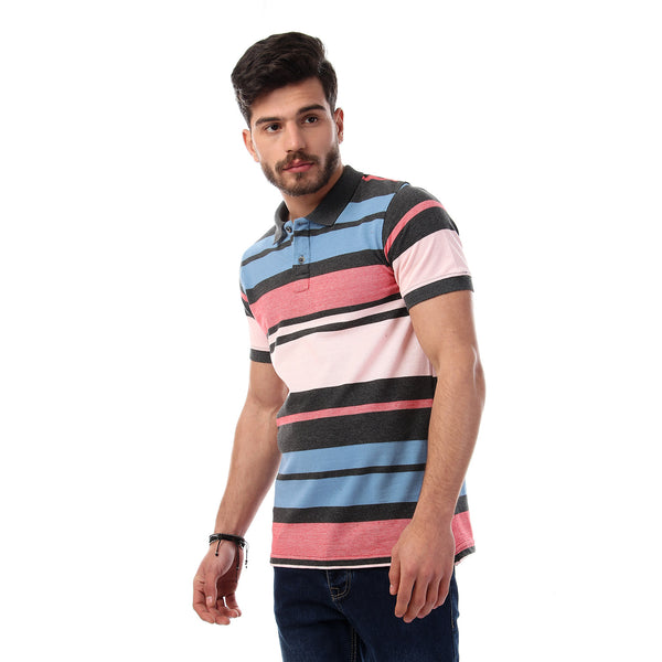 Striped Short Sleeves Buttoned Polo Shirt - Multicolour20