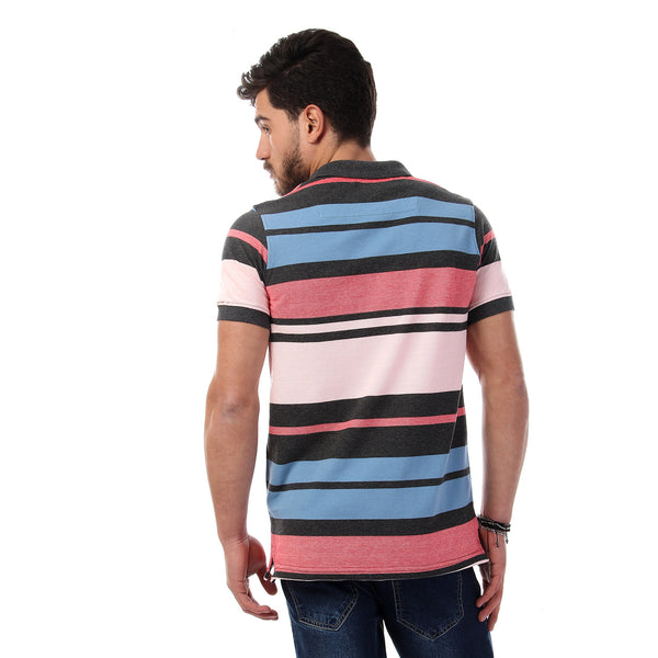 Striped Short Sleeves Buttoned Polo Shirt - Multicolour20