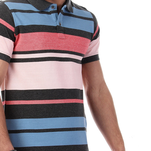 Striped Short Sleeves Buttoned Polo Shirt - Multicolour20