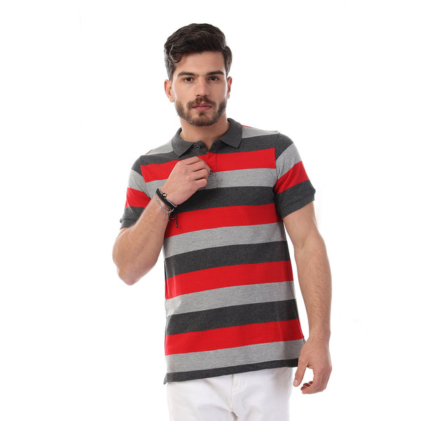 Striped Short Sleeves Buttoned Polo Shirt - Multicolour_9