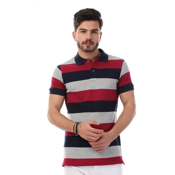 Striped Short Sleeves Buttoned Polo Shirt - Multicolour_11