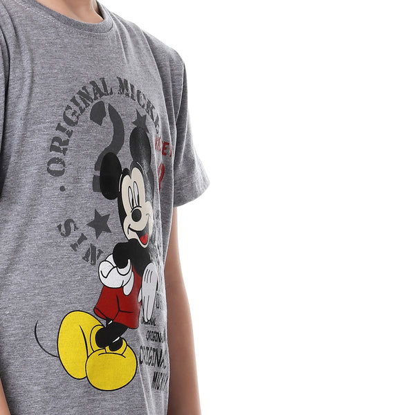 mickey printed round neck t-shirt for boys - heather grey
